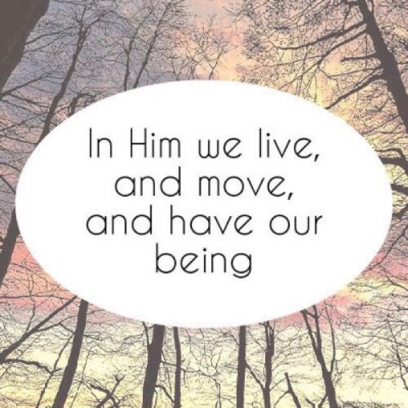 Kat • Posh Ambassador II and Posh Buyer 😎 "Like" to Bookmark my Closet - Picture 9 of 15